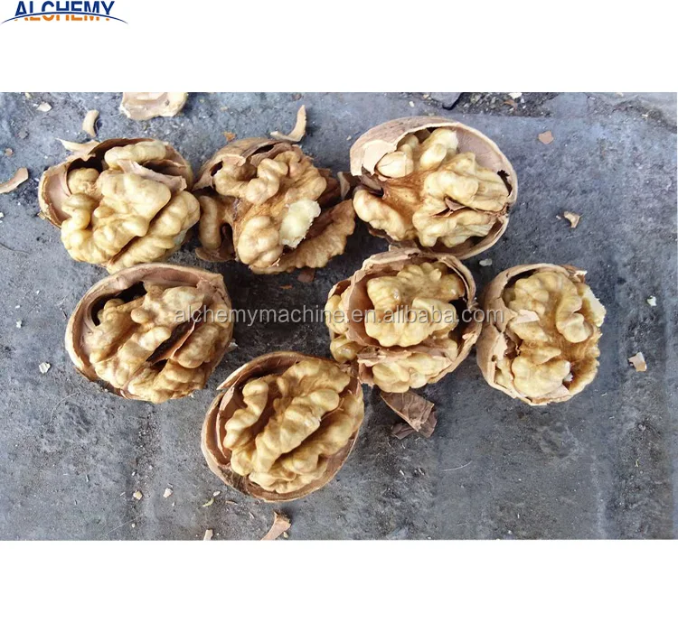 ukraine chile chandler walnut kernel