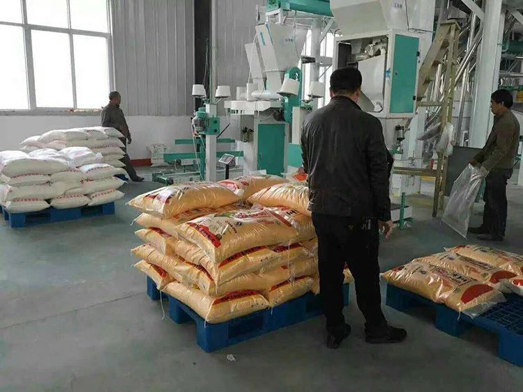 Factory direct corn / maize flour  powder milling machine price fine cornmeal grinding corn crusher maize peeler Flour Mill sale