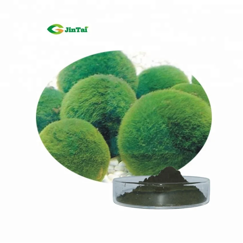 chlorella vulgaris chlorella espirulina tabletas powders