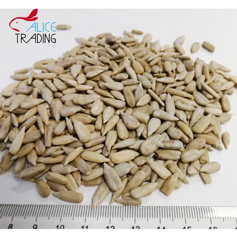 
Big Size Raw Snack Cheap Price Sunflower Seed Kernels 