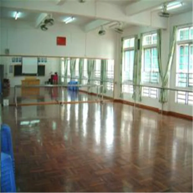 4mm-6mm Unbreakable Safety Backed Dance Studio Mirror , Decorative Wall Mirrors for Fitness Club