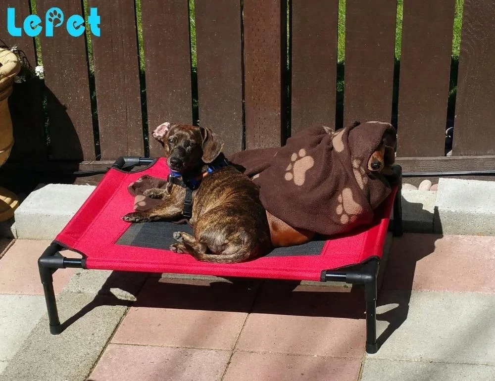 
Outdoor raised dog bed orthopedic dog bed pet cot waterproof dog bed 