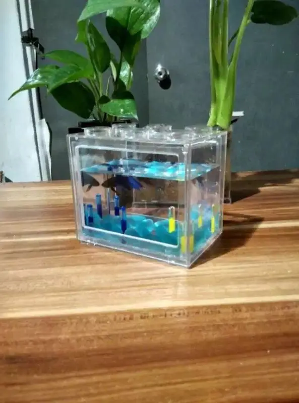 Wholesale new designed plastic fish tank acrylic square fish tank