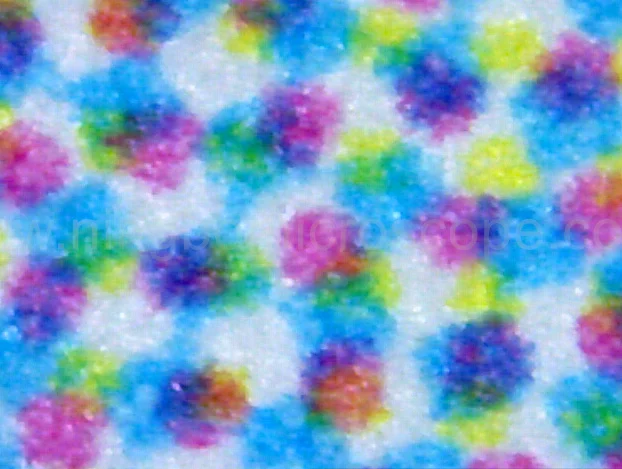 CE FCC ROHS Digital Usb Microscope for Skin Inspection