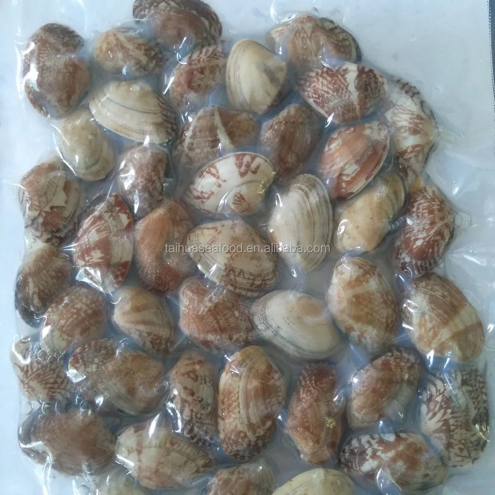 
frozen boiled clam size 31-40 whole cooked in much stock 