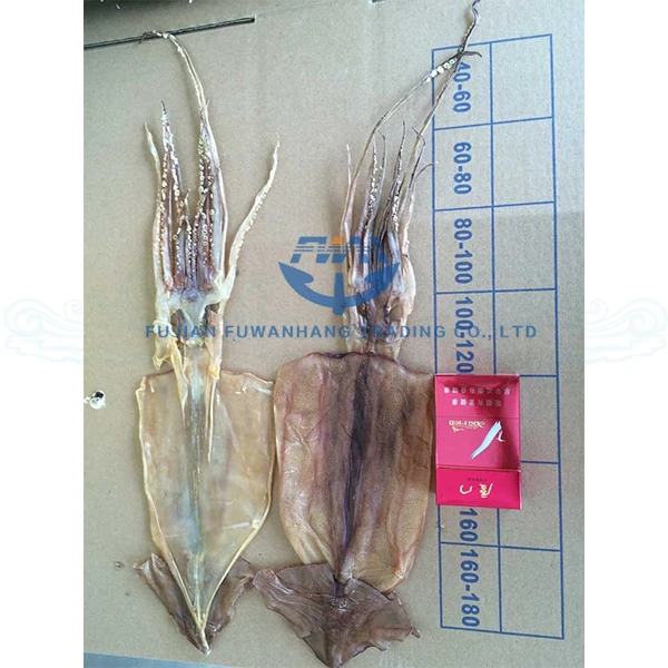 
dried illex squid price 