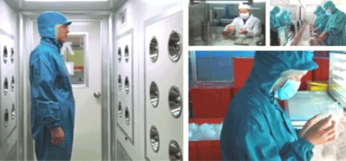 
Best Price 100% Natural Food Grade Organic Walnut Kernels 