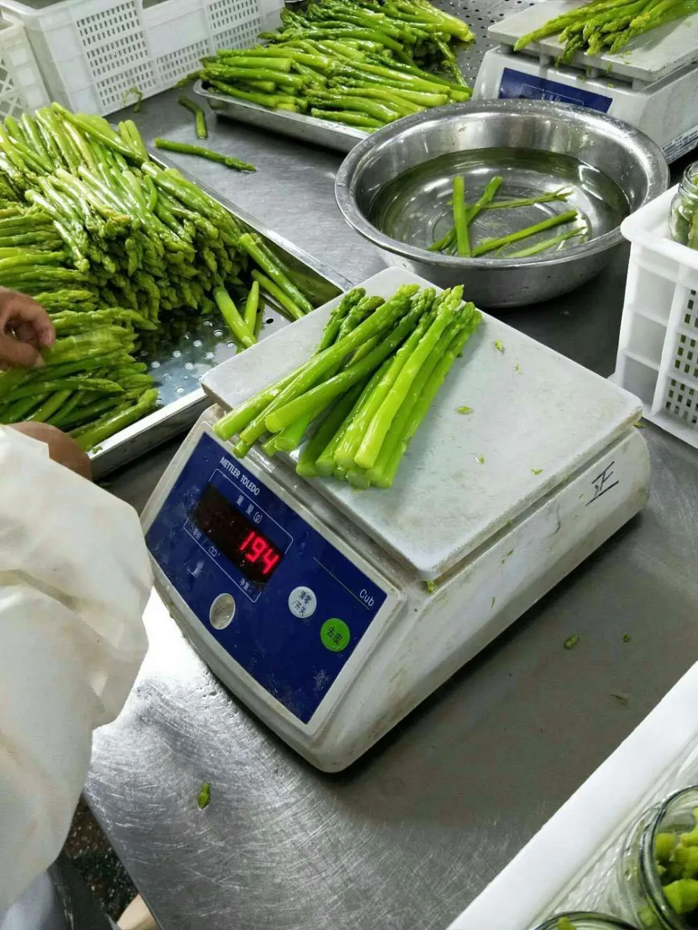 Goog price high quality fresh green asparagus in 370ml