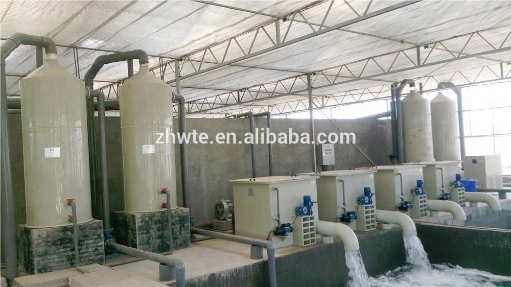 Customized 60Tons/year Catfish and Tilapia Fish Farming System