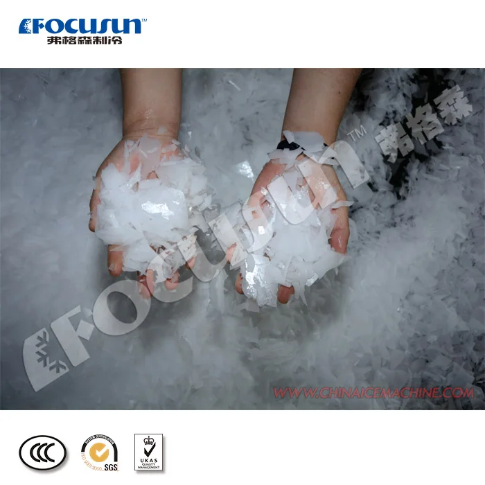 easy installation 10T Containerized Flake Ice Machine/ Maker for Fishery