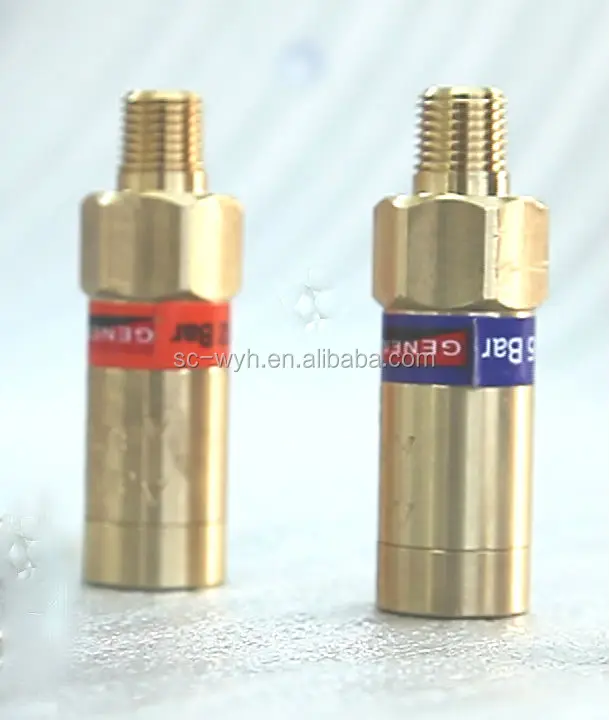 LNG safety valve Cryogenic Pressure relief valve for tank