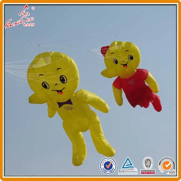 3D Large Inflatable kite from professional kite factory