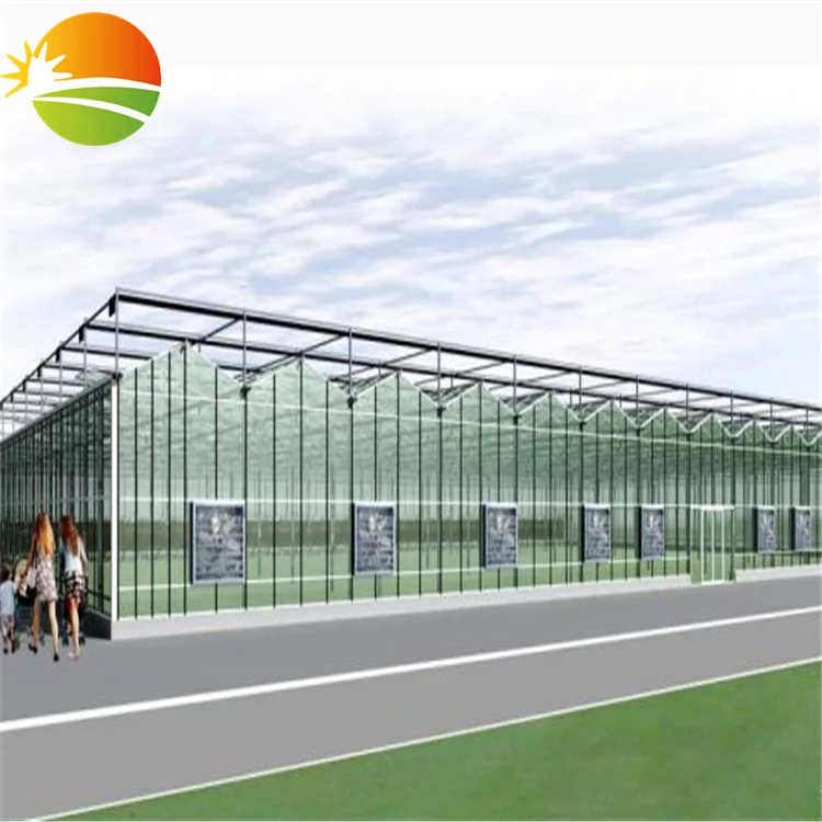 multi span  greenhouse with hydroponic system for tomato plant