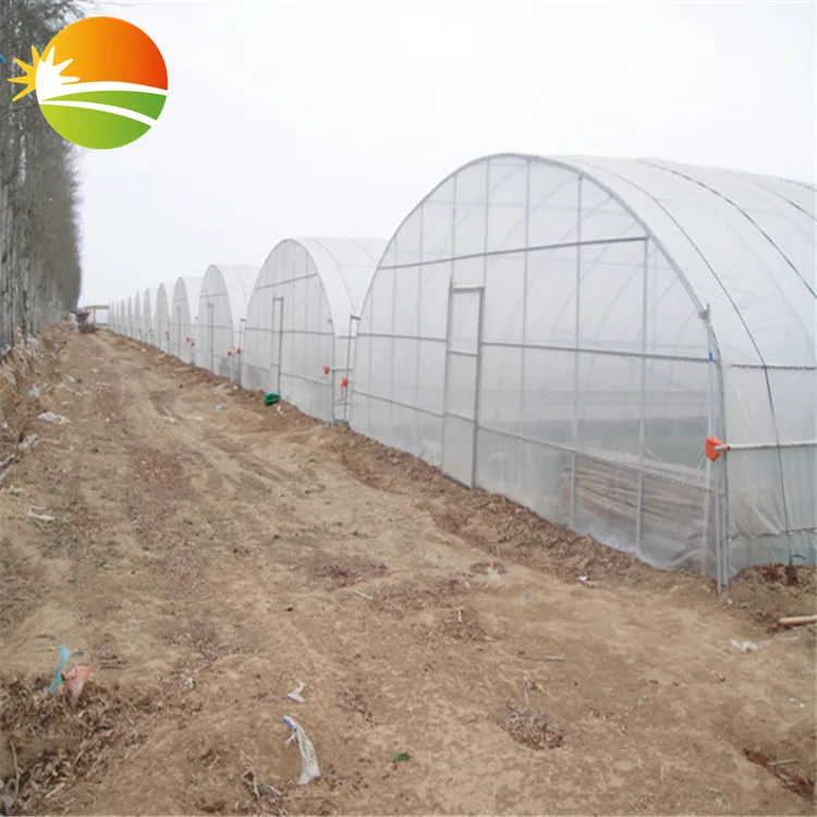 Tunnel plastic film green house