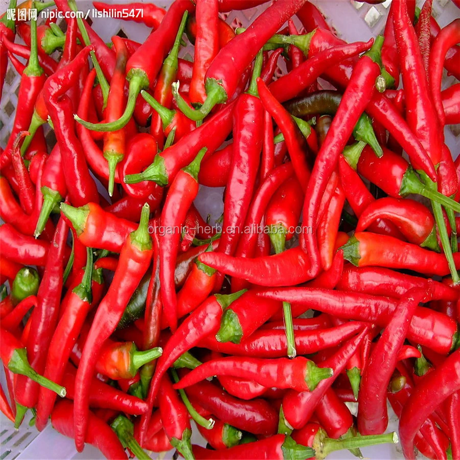 Capsanthin in Paprika Red Capsicum Annuum Pigment