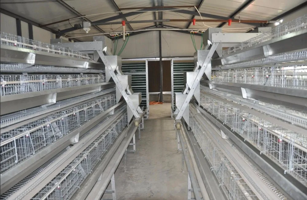 Quality extra thick wire animal laying chicken cage factory supply