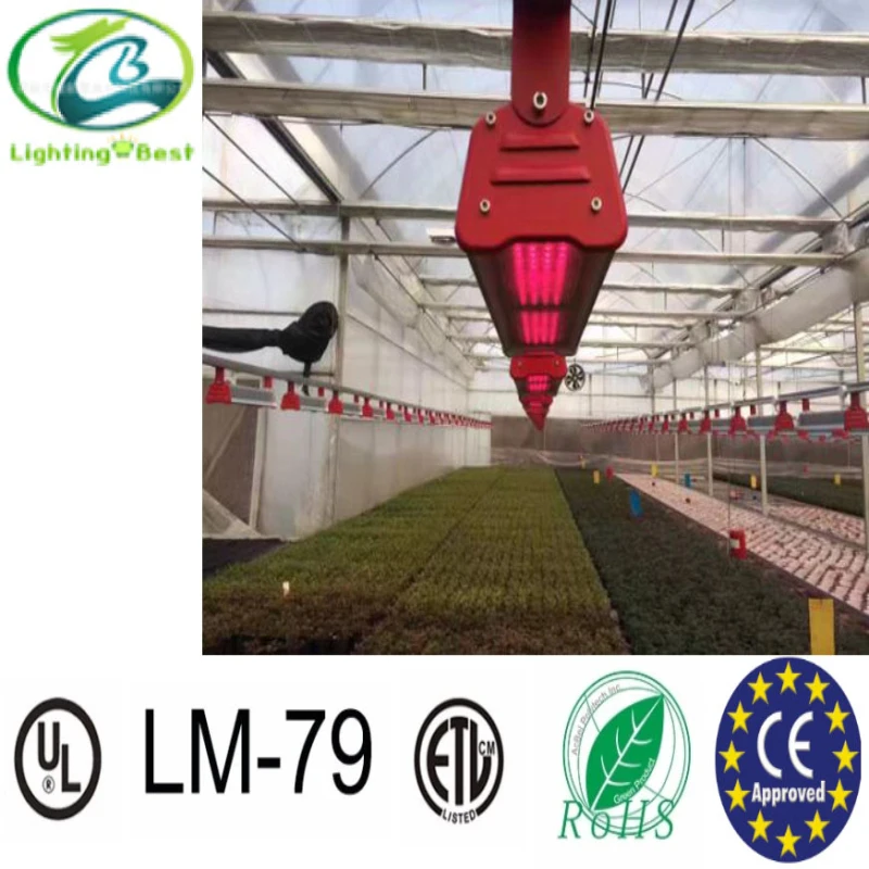
Hydroponic Growing LED Grow Lights 100W 200W 300W Plant Grow Lamp full spectrum led linear grow lights modules type led high bay 