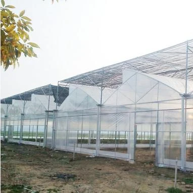 Sawtooth Roof Vent Greenhouse Reinforced Plastic Greenhouse for Nursery