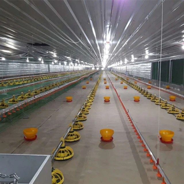 Design Modern High Quality Chicken Feeding Equipment/poultry Hopper Feeder/poultry Farm for Sale in Ghana