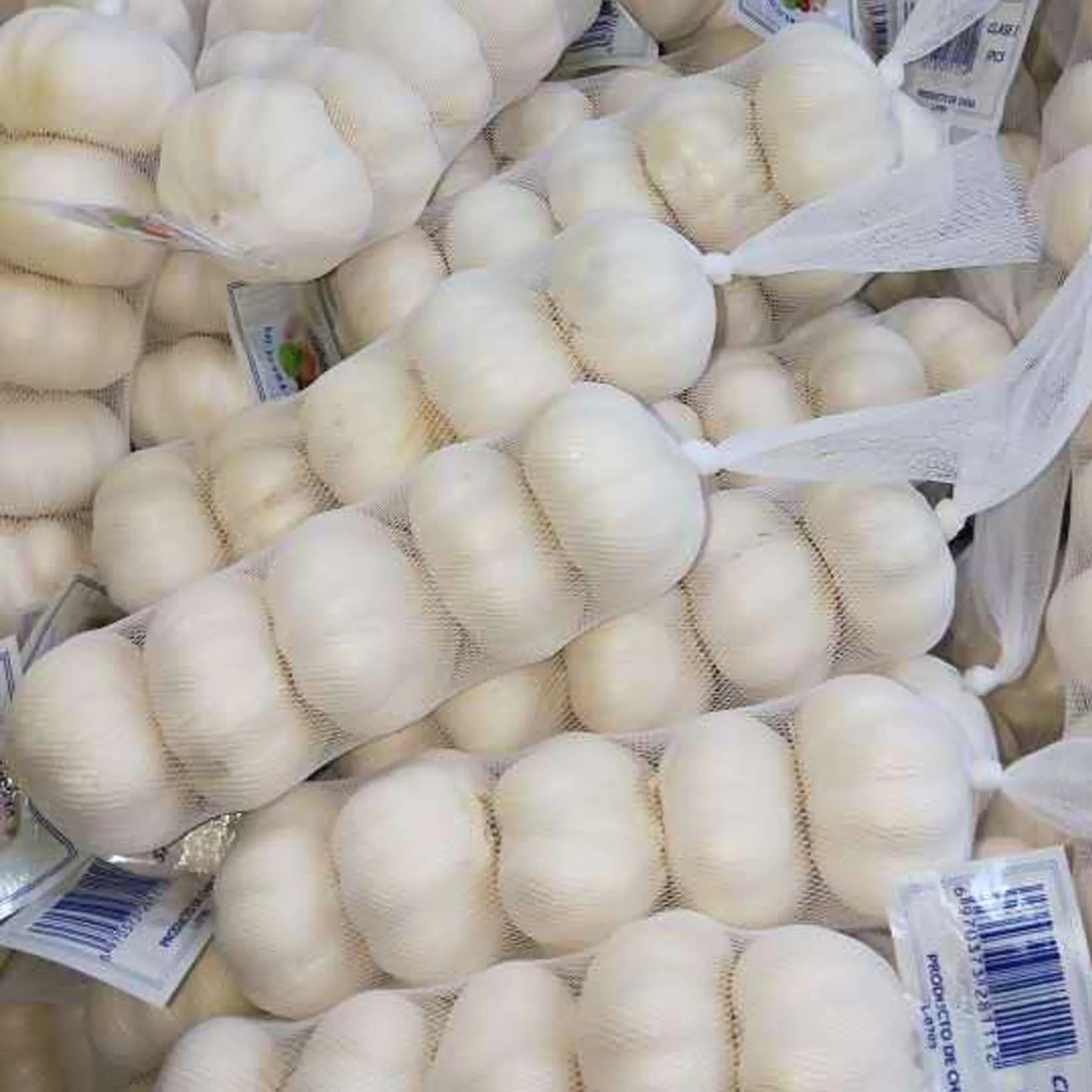 
chinese garlic fresh garlic from China garlic price 