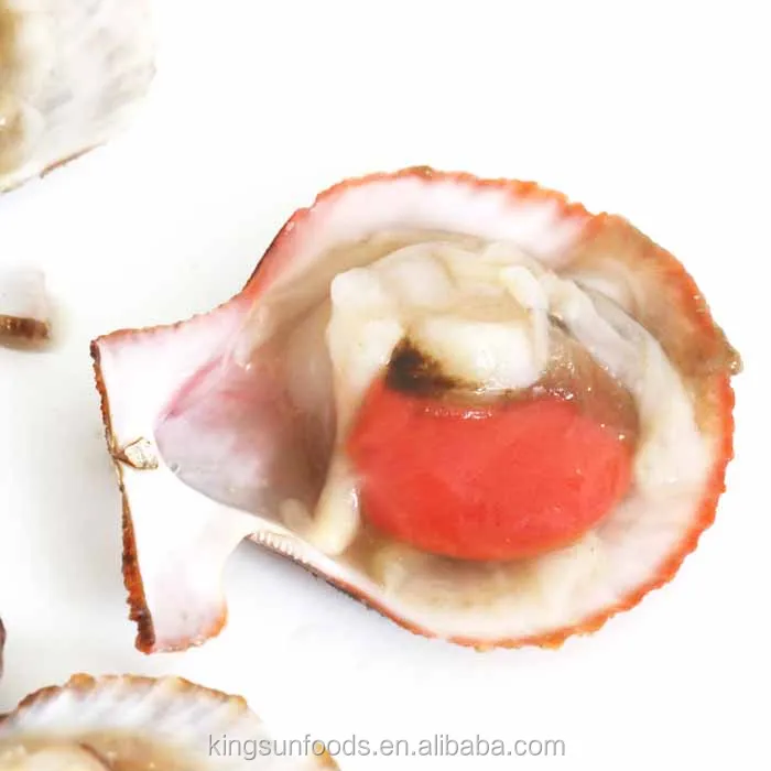 Half Shell Frozen Farreri Scallop
