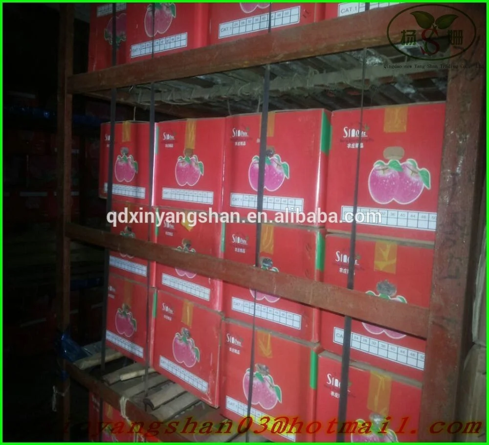 Fresh Apples quality manual from Shandong province