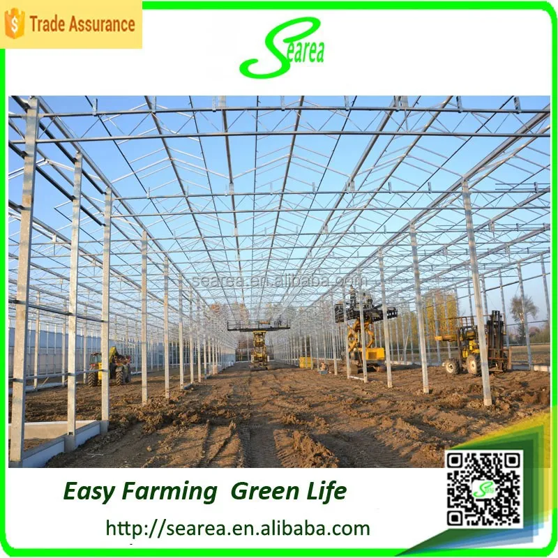 
Mult span commerical glass greenhouse for sale 