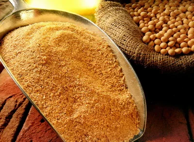 soybean fertilizer with organic protein nitrogen /Plant source 100% organic NPK fertilizer