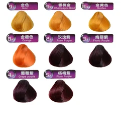 China  Hair Color Brands Manufacturer No Ammonia Non Allergic Hair Dye  Color