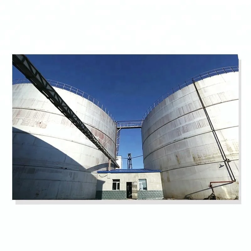 
Good Quality of dry Yeast for selenium yeast 