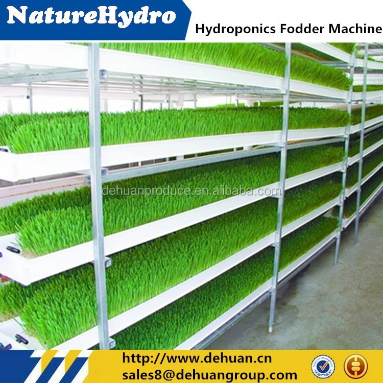 Hot sale commercial bean sprout machine /hydroponic fodder machine in greenhouse