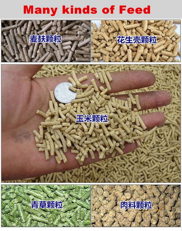 best quality ZH-120 pellet machine/animal feed pellet making machine/granulation machine(lydia WhatsApp:+8615965977837)