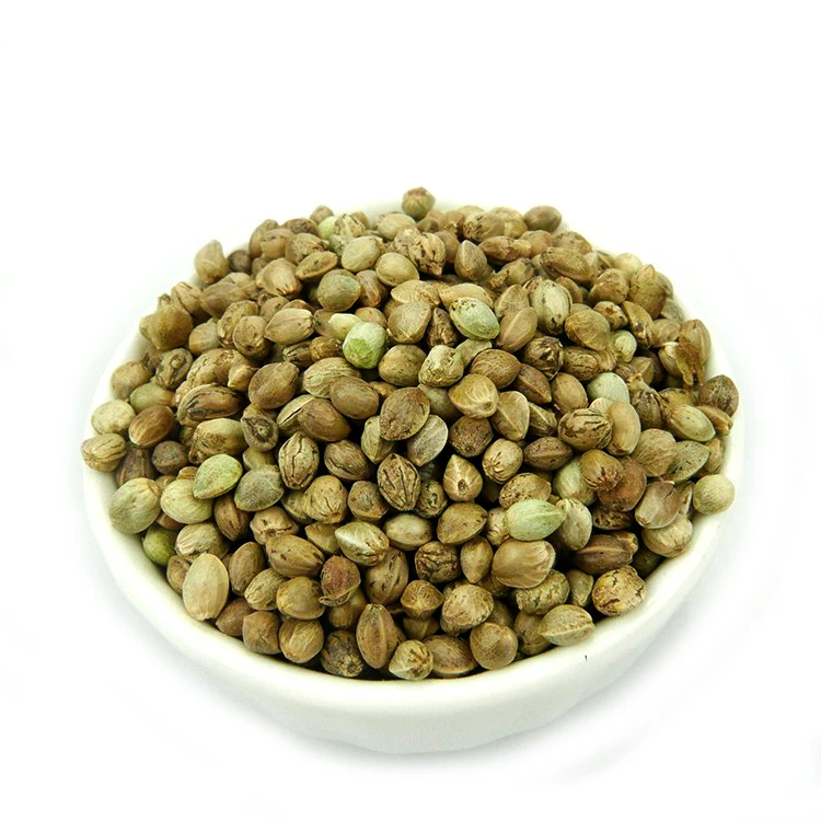 
High Quality bird feeding hemp seeds for sale,price of hemp seeds bulk sales bird seed 