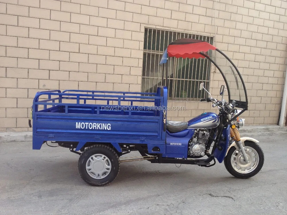 T-rex Trike Three Wheel Motorcycle with Closed Body Driving Sitting Place