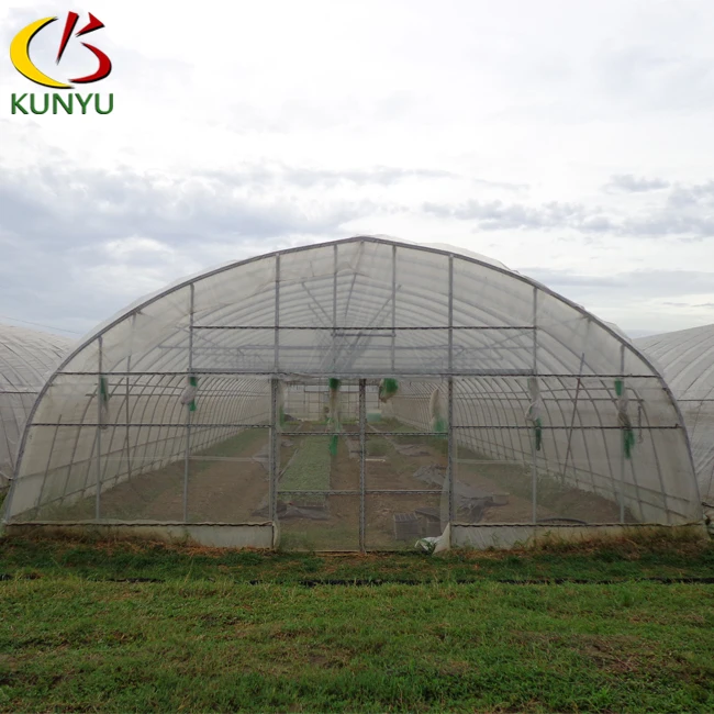 Kunyu Economical High Tunnel Plastic Film Tropical Greenhouse For Agriculture Cultivating