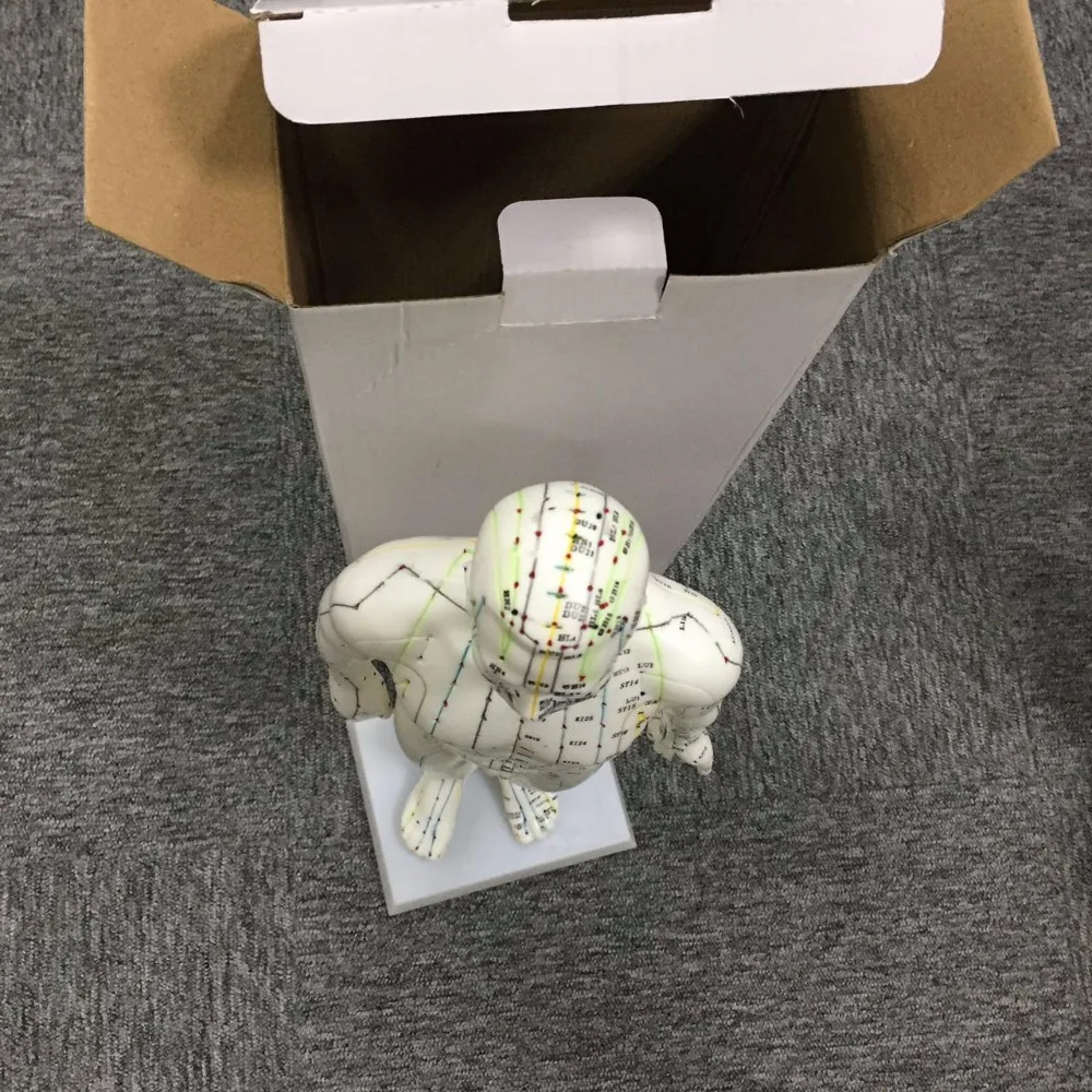 
26cm Female Acupuncture model 