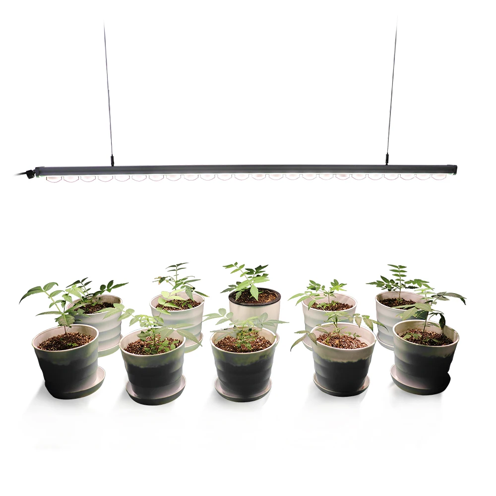 Full Spectrum Bar Led Grow Light 60w for Agriculture Cob full spectrum 100 watt led grow light