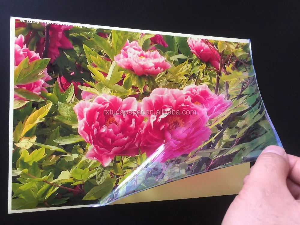 
Transparent PET/PVC inkjet printable label sheet for inkjet printer,210mm x 297mm,100sheets/bag 