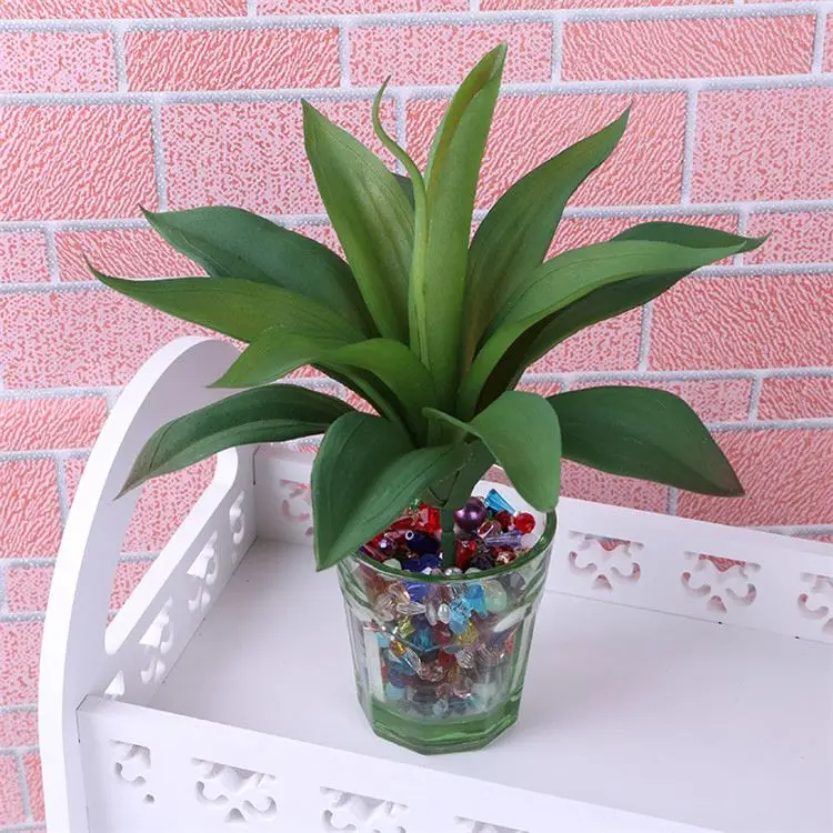 
Best selling unique design living room decorations cactus and succulents 