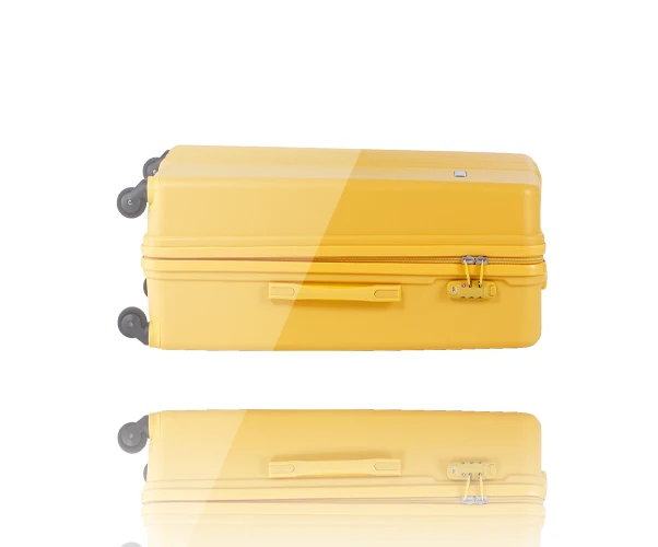 
2019 Wholesale custom new style pp pilot suitcase hard shell luggage <span style=