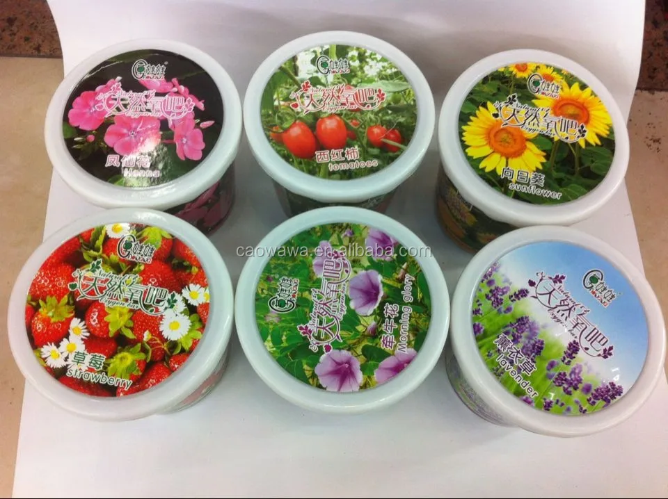 
wholesale plastic pots for plants,mini pot plant , office natural oxygen bar <img data-src=