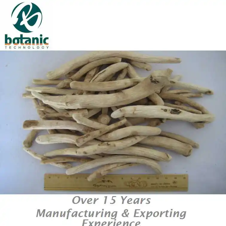 
Peony root (Radix Paeoniae Lactiflora) 