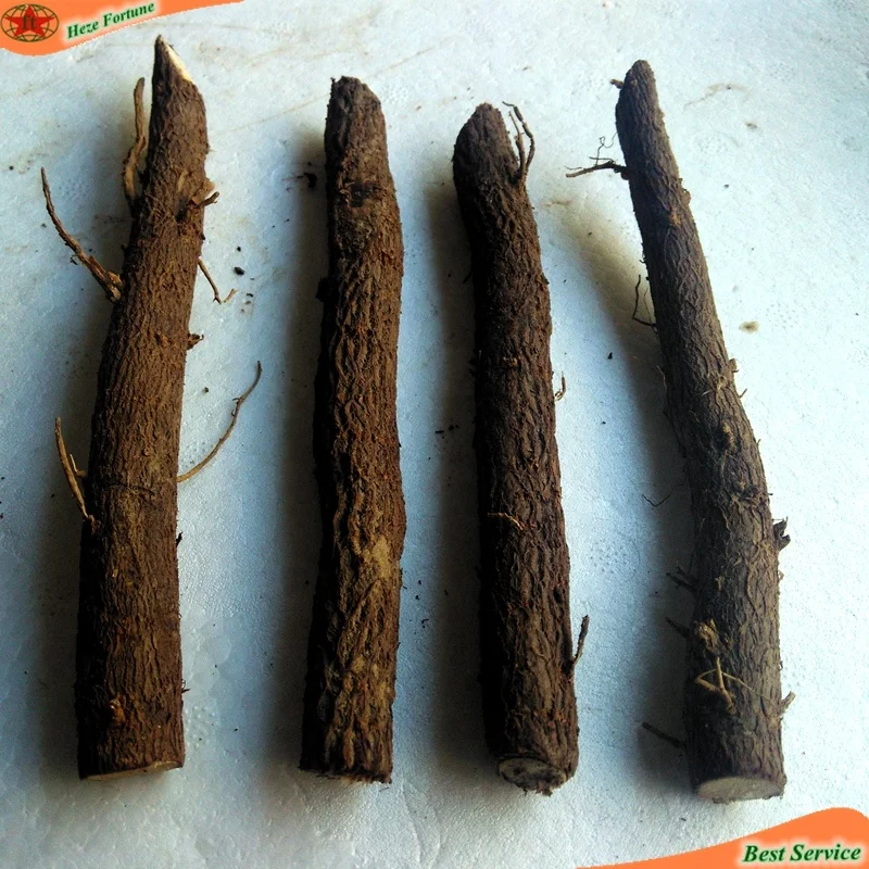 
 Китайские высококачественные быстрорастущие корни павловнии удлиненной для древесины  