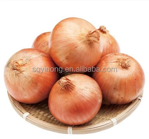 
yellow hybrid f1 onion seeds 