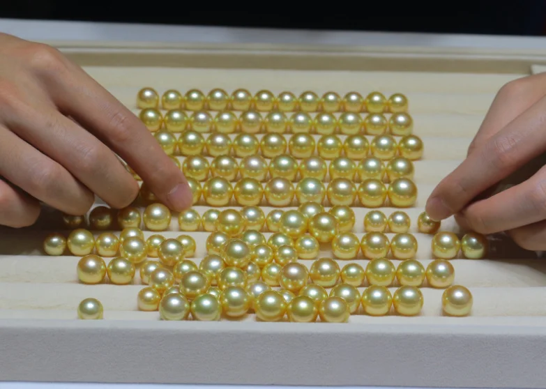 10-11mm 3A grade large big size supply wholesale gold golden color real genuine natural south sea pearls