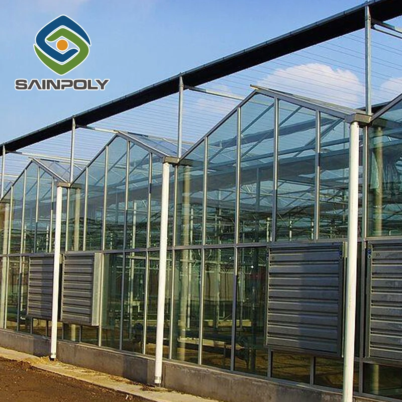 Продажа высококачественных Стеклянных гидропонных томатных панелей для теплиц
