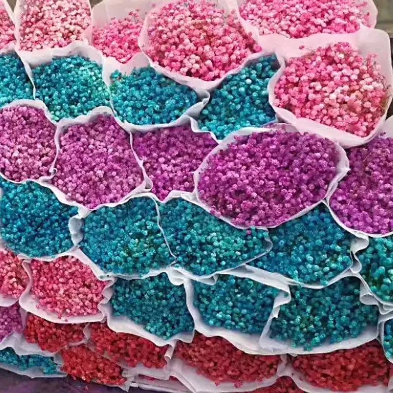 Factory Price Dried Jasmine Dried Flowers Jewelry Dried Flowers Preserved