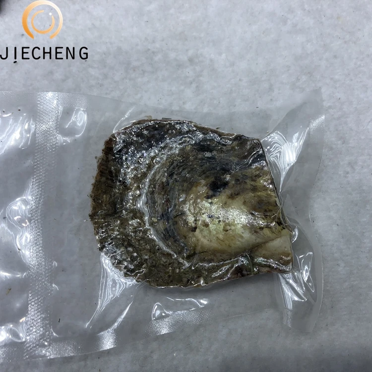2018 Hot sell akoya natural saltwater pearl oysters for offers sale