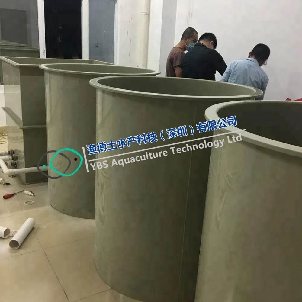 Pseudosciaena crocea laboratory Recirculating Aquaculture System