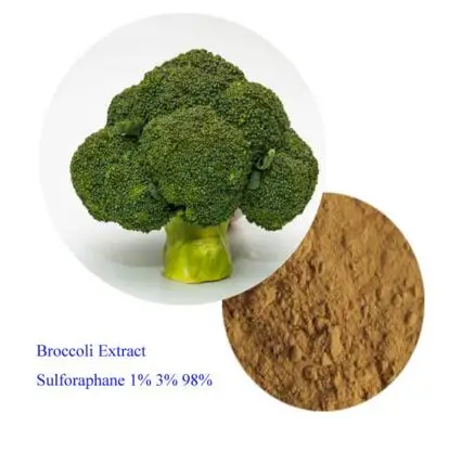 
High quality broccoli extract sulforaphane 1% 